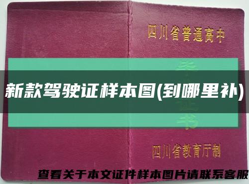 新款驾驶证样本图(到哪里补)缩略图