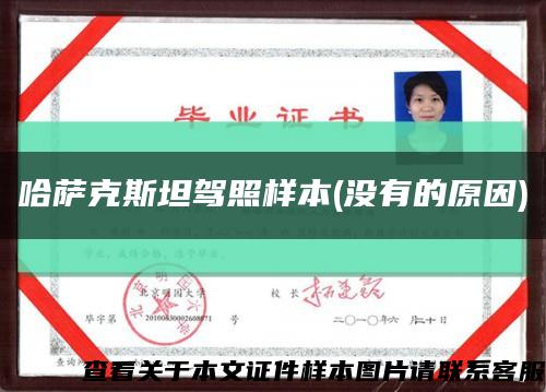 哈萨克斯坦驾照样本(没有的原因)缩略图