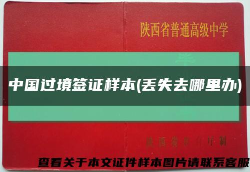 中国过境签证样本(丢失去哪里办)缩略图