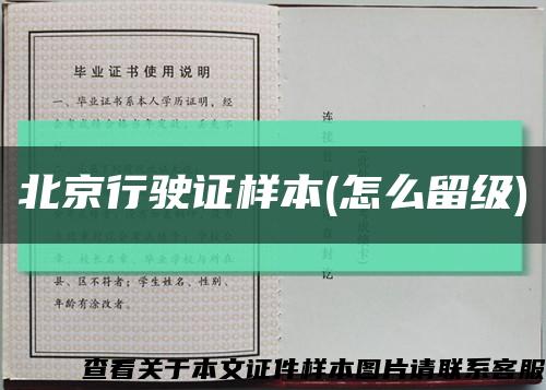 北京行驶证样本(怎么留级)缩略图