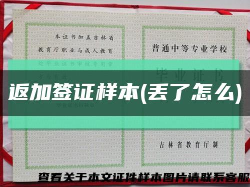 返加签证样本(丢了怎么)缩略图