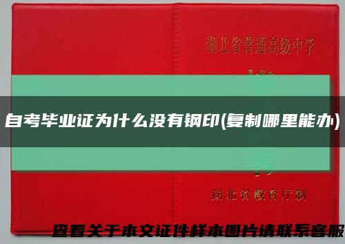 自考毕业证为什么没有钢印(复制哪里能办)缩略图