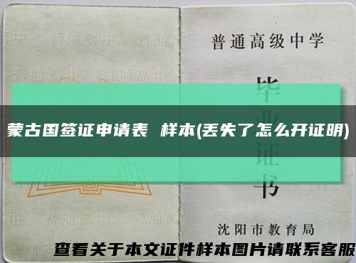 蒙古国签证申请表 样本(丢失了怎么开证明)缩略图
