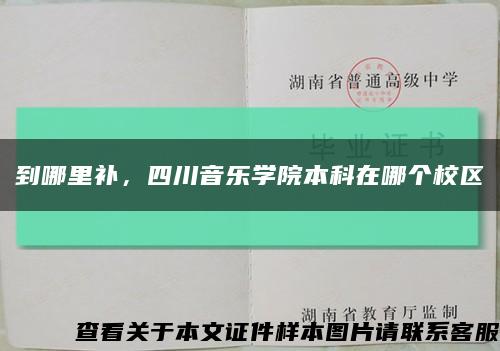 到哪里补，四川音乐学院本科在哪个校区缩略图