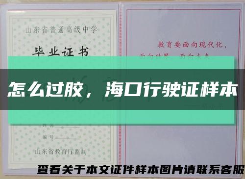 怎么过胶，海口行驶证样本缩略图