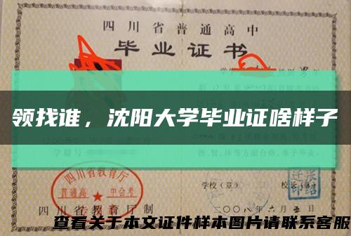 领找谁，沈阳大学毕业证啥样子缩略图