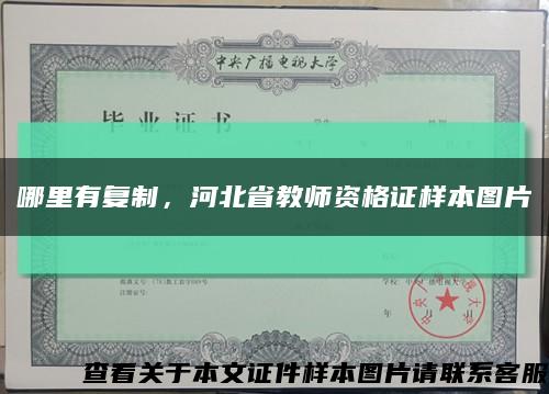 哪里有复制，河北省教师资格证样本图片缩略图
