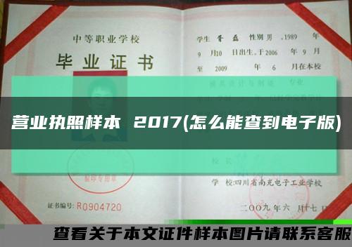 营业执照样本 2017(怎么能查到电子版)缩略图
