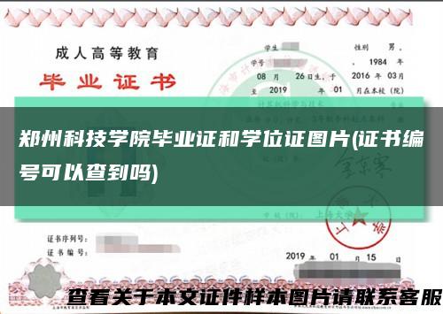 郑州科技学院毕业证和学位证图片(证书编号可以查到吗)缩略图