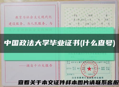 中国政法大学毕业证书(什么查号)缩略图