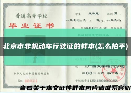 北京市非机动车行驶证的样本(怎么拍平)缩略图