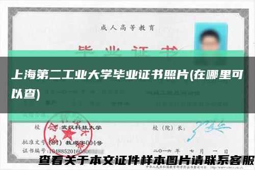 上海第二工业大学毕业证书照片(在哪里可以查)缩略图