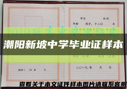 潮阳新坡中学毕业证样本缩略图