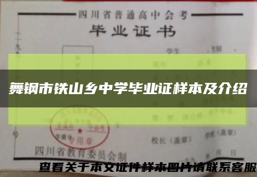 舞钢市铁山乡中学毕业证样本及介绍缩略图