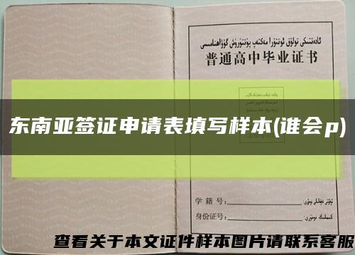 东南亚签证申请表填写样本(谁会p)缩略图