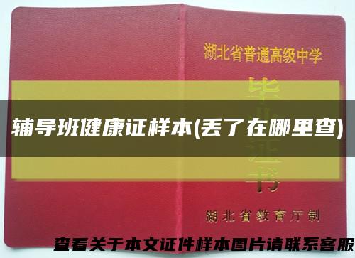 辅导班健康证样本(丢了在哪里查)缩略图