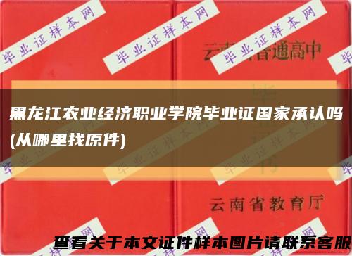 黑龙江农业经济职业学院毕业证国家承认吗(从哪里找原件)缩略图