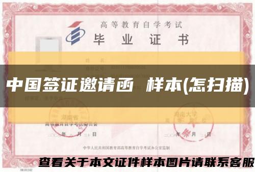 中国签证邀请函 样本(怎扫描)缩略图
