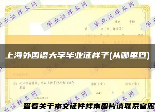 上海外国语大学毕业证样子(从哪里查)缩略图