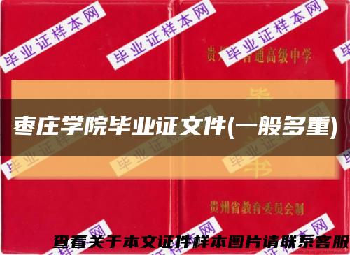 枣庄学院毕业证文件(一般多重)缩略图