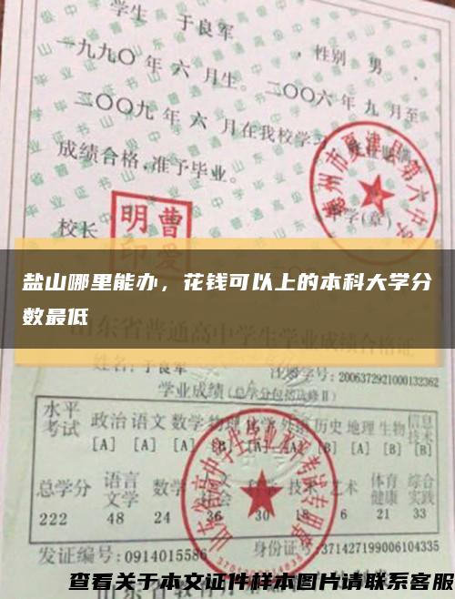 盐山哪里能办，花钱可以上的本科大学分数最低缩略图
