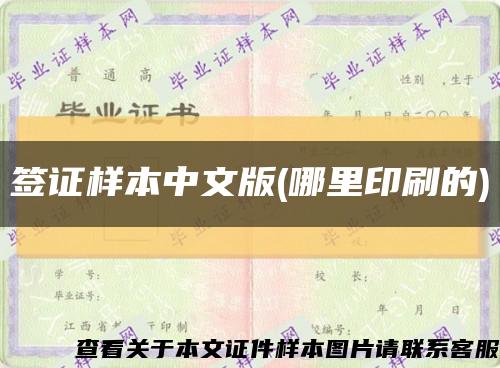 签证样本中文版(哪里印刷的)缩略图