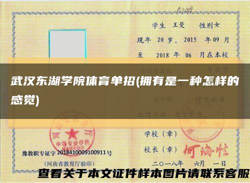 武汉东湖学院体育单招(拥有是一种怎样的感觉)缩略图