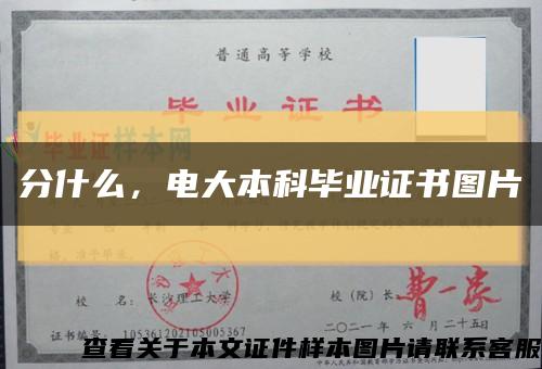 分什么，电大本科毕业证书图片缩略图