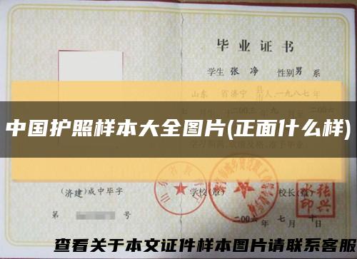 中国护照样本大全图片(正面什么样)缩略图