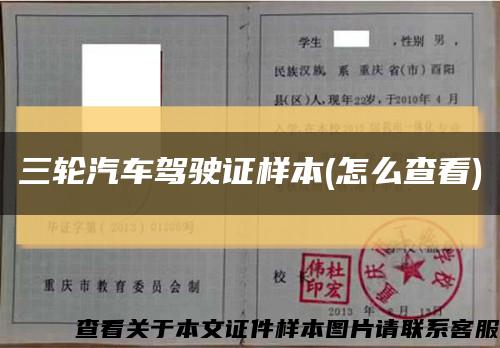 三轮汽车驾驶证样本(怎么查看)缩略图