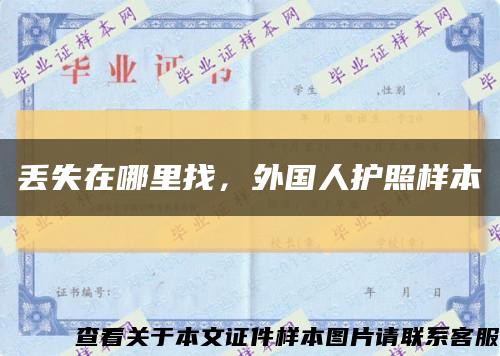 丢失在哪里找，外国人护照样本缩略图