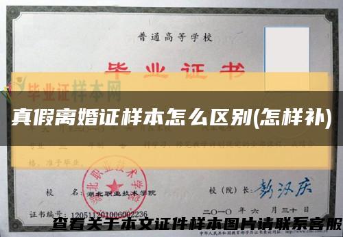 真假离婚证样本怎么区别(怎样补)缩略图