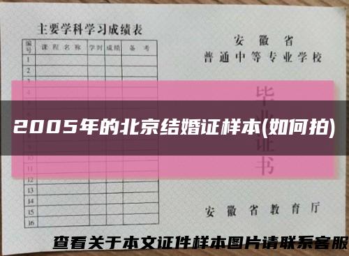 2005年的北京结婚证样本(如何拍)缩略图