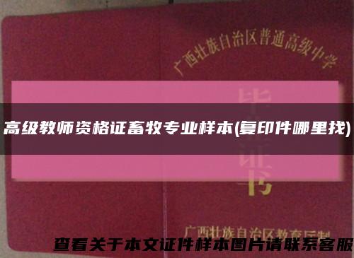 高级教师资格证畜牧专业样本(复印件哪里找)缩略图