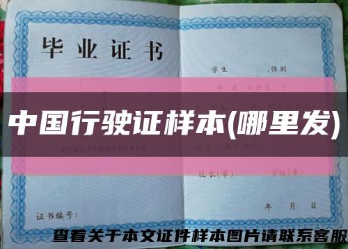 中国行驶证样本(哪里发)缩略图
