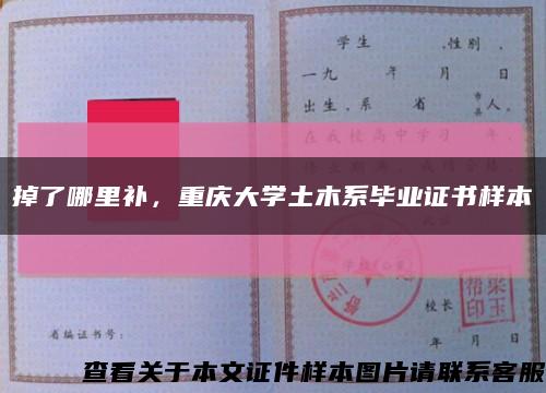 掉了哪里补，重庆大学土木系毕业证书样本缩略图