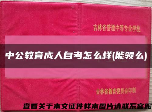 中公教育成人自考怎么样(能领么)缩略图