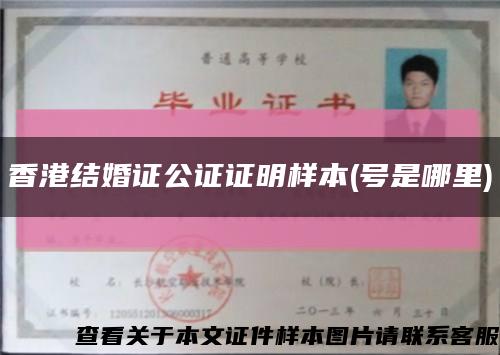 香港结婚证公证证明样本(号是哪里)缩略图