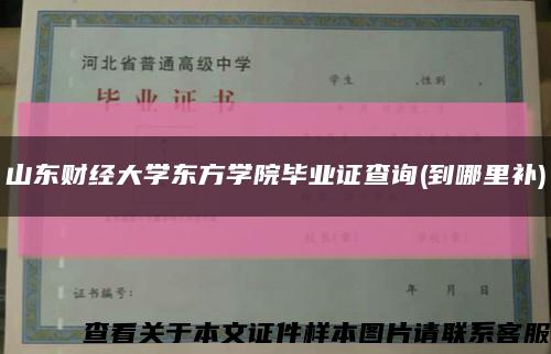 山东财经大学东方学院毕业证查询(到哪里补)缩略图