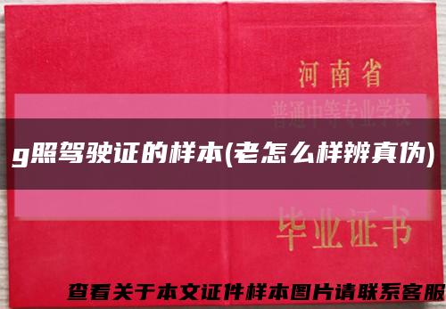 g照驾驶证的样本(老怎么样辨真伪)缩略图