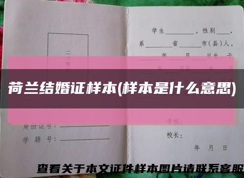 荷兰结婚证样本(样本是什么意思)缩略图
