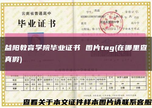 益阳教育学院毕业证书 图片tag(在哪里查真假)缩略图