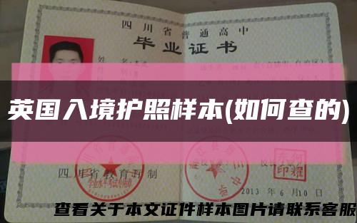 英国入境护照样本(如何查的)缩略图