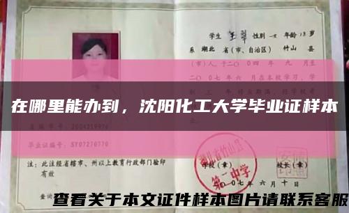 在哪里能办到，沈阳化工大学毕业证样本缩略图