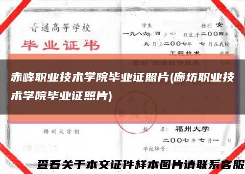 赤峰职业技术学院毕业证照片(廊坊职业技术学院毕业证照片)缩略图