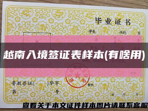 越南入境签证表样本(有啥用)缩略图