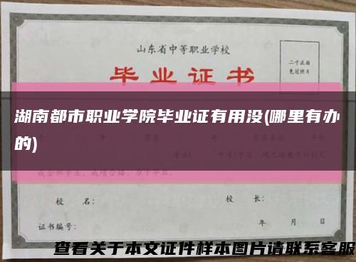 湖南都市职业学院毕业证有用没(哪里有办的)缩略图