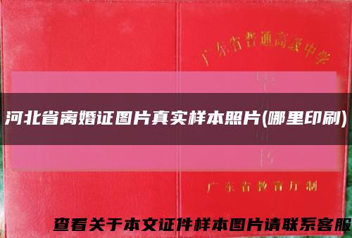 河北省离婚证图片真实样本照片(哪里印刷)缩略图