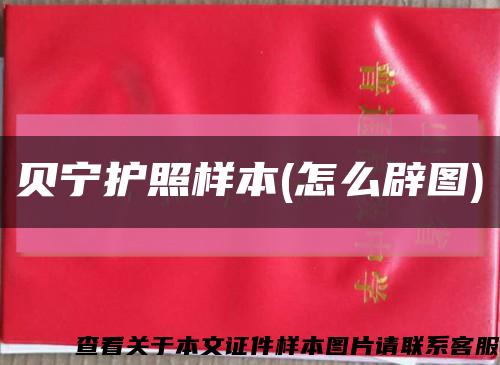 贝宁护照样本(怎么辟图)缩略图