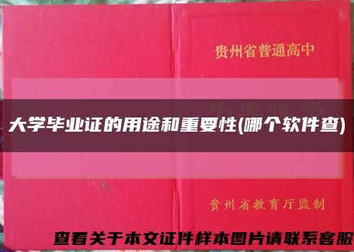 大学毕业证的用途和重要性(哪个软件查)缩略图
